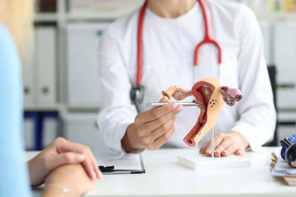 Gynecology consultation and care at Vivan Bone & Women Care